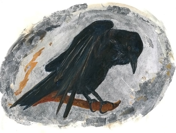 Raven Magic - Daydreams Studio 