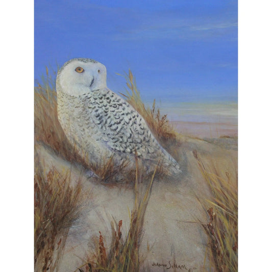 Snowy Owl Hand painted Giclee on Canvas Daydreams Studio