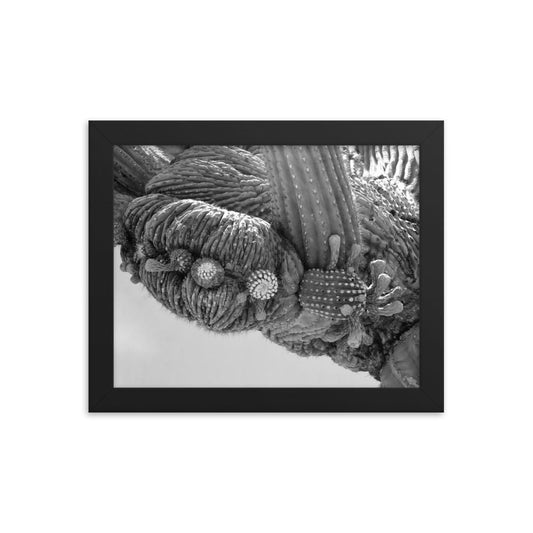 Cactus lines Framed poster - Daydreams Studio 