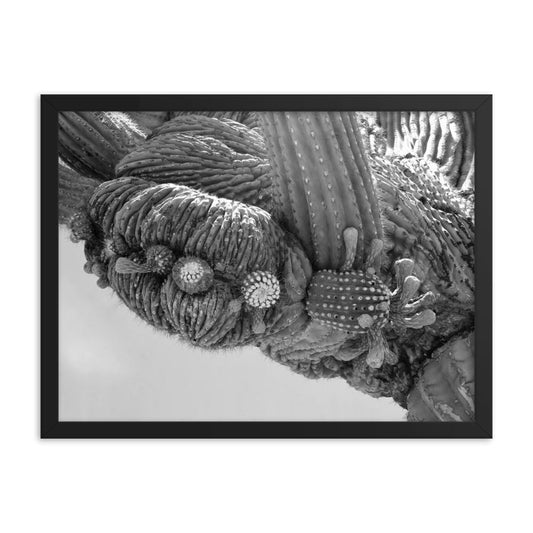 Cactus lines Framed poster - Daydreams Studio 