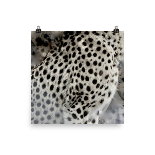 Cheetah spots Poster print - Daydreams Studio 