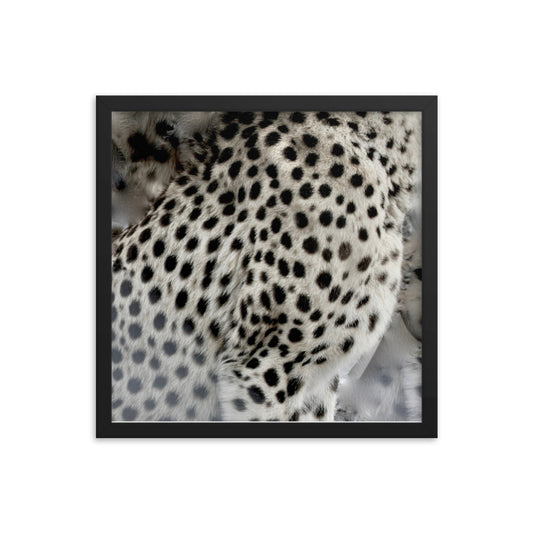 Cheetah spots Framed poster print - Daydreams Studio 