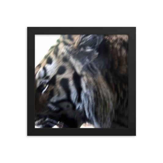 Tiger Thoughts Framed poster - Daydreams Studio 