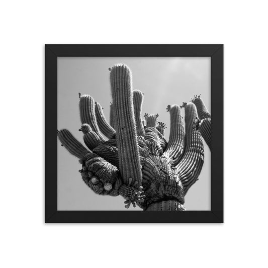 Hand of Cactus  Framed poster - Daydreams Studio 