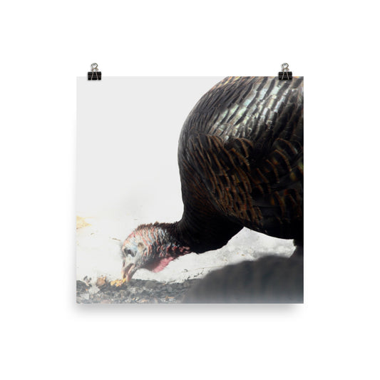 Turkey views Poster - Daydreams Studio 