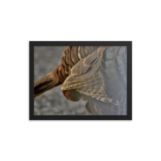 Feathers Framed poster - Daydreams Studio 