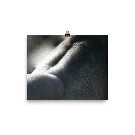 Silver in light  Poster print - Daydreams Studio 