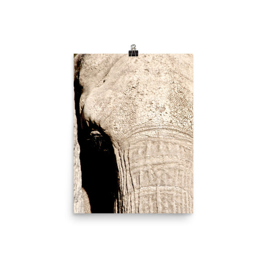 Secret Hopes Poster - Daydreams Studio 