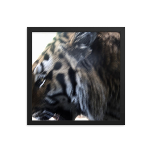 Tiger Thoughts Framed poster - Daydreams Studio 