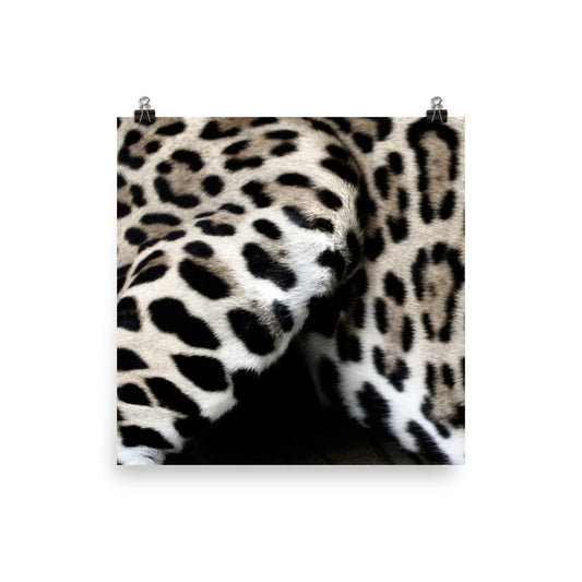 Jag Poster print - Daydreams Studio 