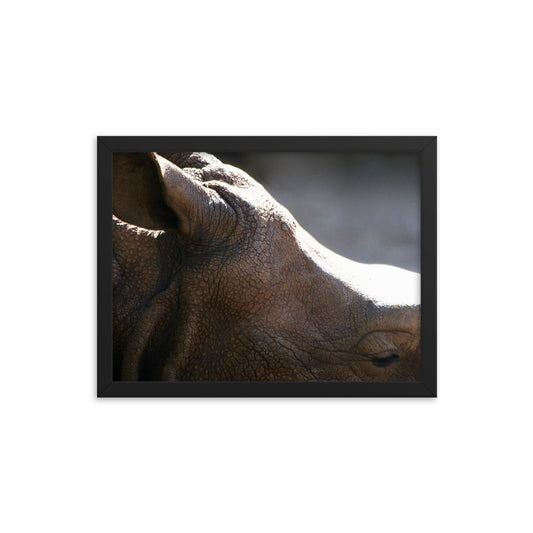 More to me Rhino Framed poster print - Daydreams Studio 