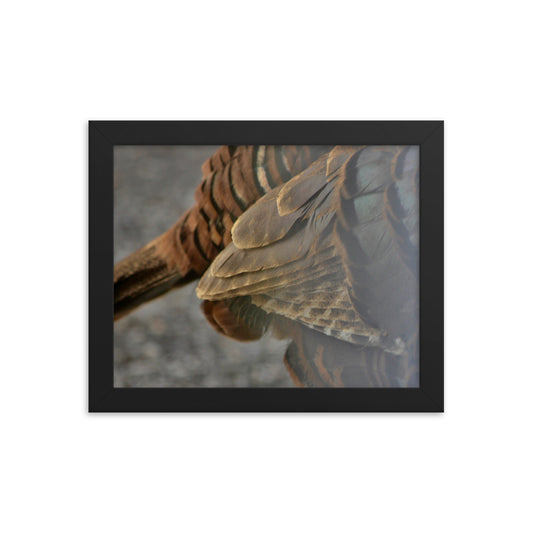Feathers Framed poster - Daydreams Studio 