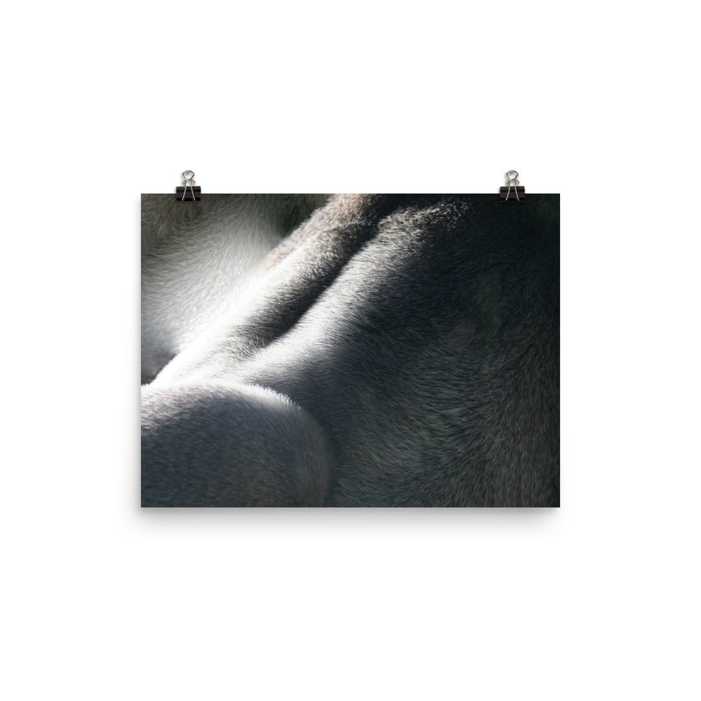 Silver in light  Poster print - Daydreams Studio 