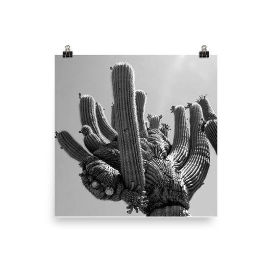 The hand of cactus Poster - Daydreams Studio 