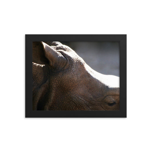 More to me Rhino Framed poster print - Daydreams Studio 