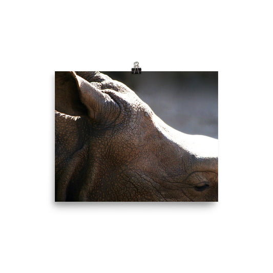 More to me  Rhino Poster - Daydreams Studio 